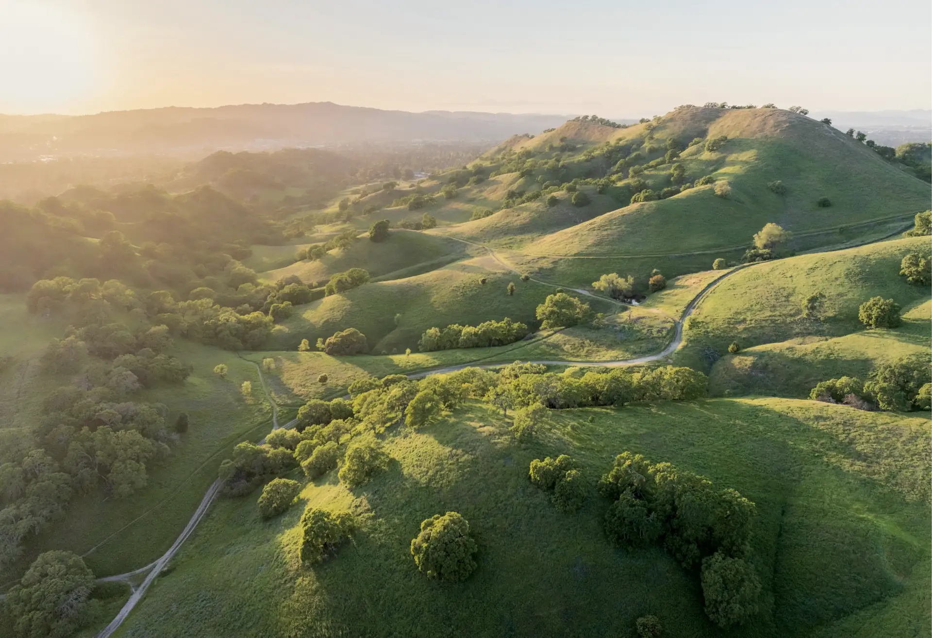 Rolling hills of the San Francisco Bay Area at sunset